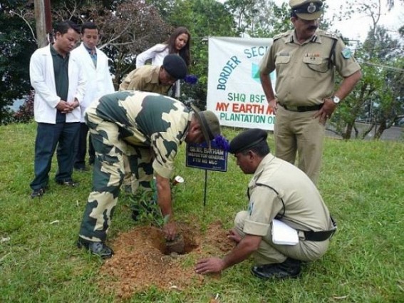 BSF Aims To Enter The 'Limca Book Of Records' By Planting Trees Along Border